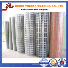 1/4 Inch Galvanized Welded Wire Mesh